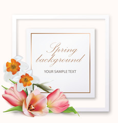 Spring background with tulips, narcissus and frame. 3D illustration - 302409194