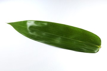 cucumber isolated on white background