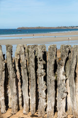 Big breakwater, 3000 trunks to defend the city from the tides  in Saint-Malo, Ille-et-Vilaine, Brittany, France