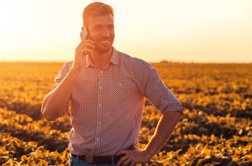 Young farmer in filed examining soybean corp and talking at phone. - obrazy, fototapety, plakaty