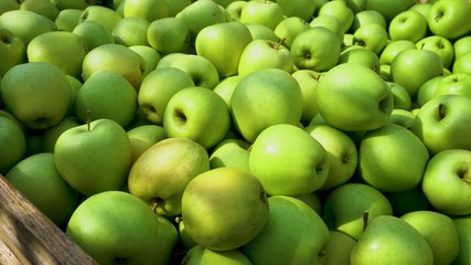 Young woman choosing apples in a supermarket picked from organic farm. 4k slowmotion. Closeup shot of hands of an attractive young girl with a fruits in it.