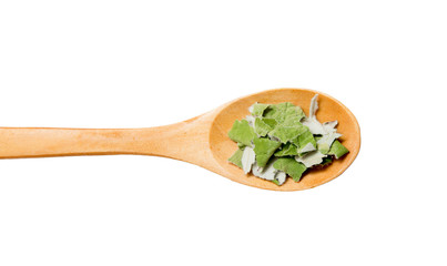 Dried Tussilago farfara( coughwort, tash plant, farfara) commonly known as coltsfoot on wooden spoon isolated on white background. Believed to be natural cough remedy.
