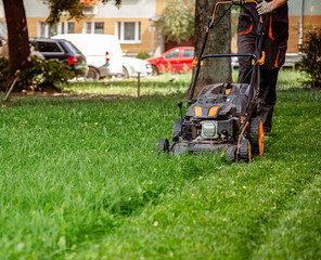 The worker mows the grass on the site, cares for the garden, uses a gasoline lawn mower.