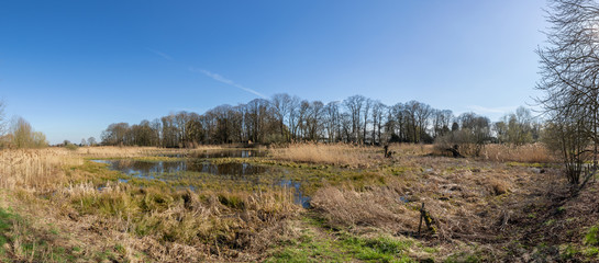Panorama View Of The Niepkuhlen Krefeld Which Is A Silted Up Old Stream Channel Of River Rhine
