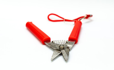 Pruning shears isolated on white background