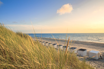 Beach Cabins And High Dunes With Grass At Texel Netherlands - obrazy, fototapety, plakaty