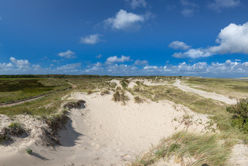 Fototapeta na wymiar Panorama Of Protected Salt Marsh Area De Slufter Texel