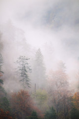 Obraz na płótnie Canvas Landscape of misty autumn mountain hills in Slovenia