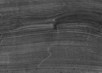 Obraz premium A Regular wood texture. Subtle color wooden background for natural banner. Timber surface closeup. Natural material for banner template. Wood surface background in shades of grey