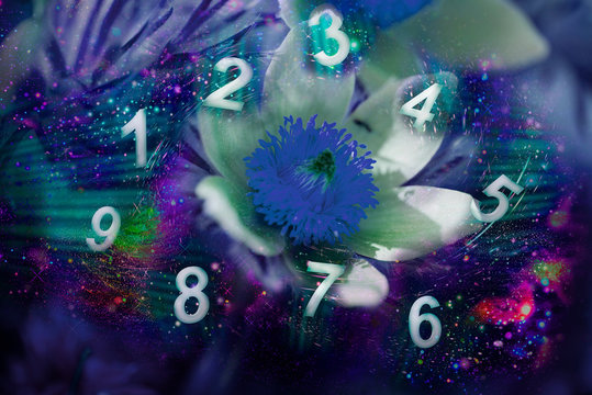 Figures fly against the background of a night flower
