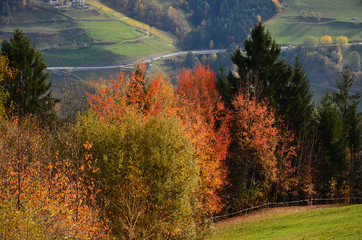 Beautiful autumn scene near Villandro village. Alto-Adige, Bolzano, Italy.