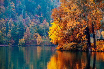 Autumn at lake Bled