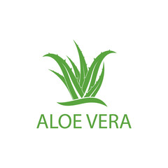 Aloe vera logo vector illustration