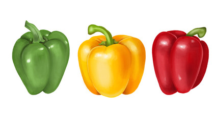Green, yellow and red bell pepper, hand drawn illustration, isolated on a white background