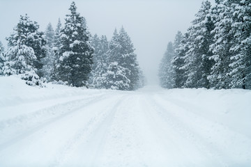Snowy road with icy conditions.