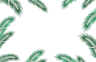 Fototapeta na wymiar Beuatiful frame for social media with palm leaves. Advertisement template. Vector illustration