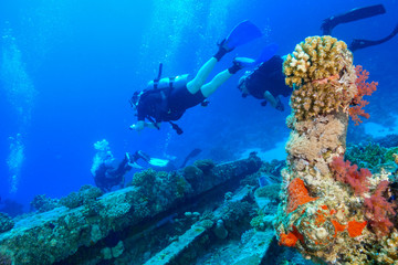 Fototapeta na wymiar Coral Reef at the Red Sea Egypt