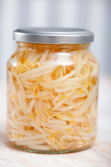 Glass jar with pickled germinated soybean sprouts