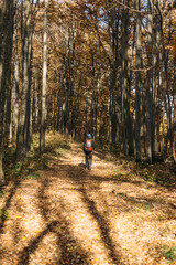 Man hiking in autumn forest