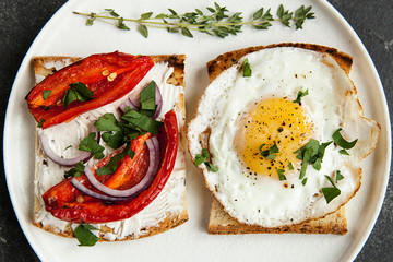 toast with vegetables, avocado sandwiches, fried egg sandwich. Gourmet sandwiches for breakfast, lunch.