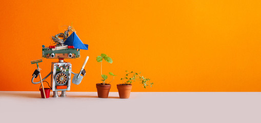 Agriculture gardening poster. Toy gardener with bucket shovel rake and sprouts of wild strawberries...