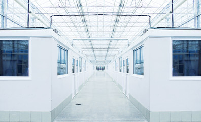 Typical module office boxes for use on production sites.