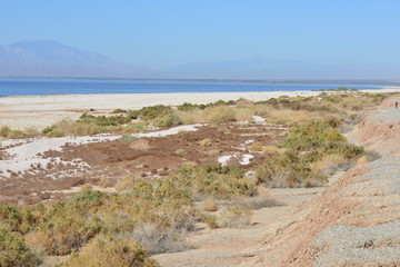 The beach area a the Salton sea in California