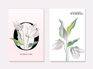 Botanical greeting card. Wedding tender soft rose Design template of business cards with abstract spring flowers for the hotel, beauty salon, spa, restaurant, club. Vector illustration