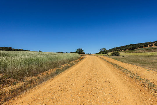 Chemin de  Compostelle, camino frances, en Espagne qui serpente au milieu de la campagne