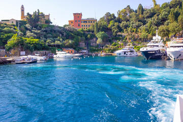 Fototapeta premium Piękna zatoka z kwiatami w Portofino, Liguria, Włochy
