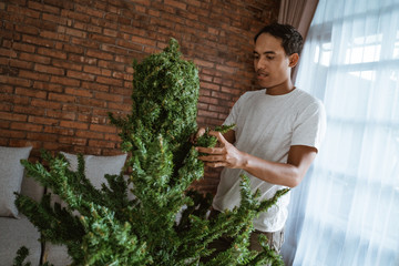 asian male installing newly bought artificial christmas tree at home