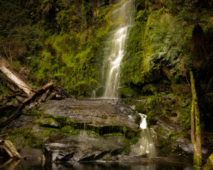 Waterfall in the Rain Forest, Australia.
