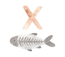 Watercolor hand painted x ray fish. Isolated x-ray fish on white background. © Anastasia