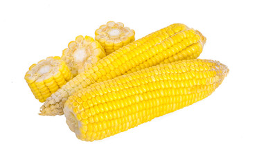 Corn an isolated on white background