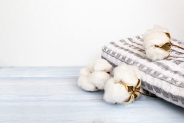 Natural cotton flowers, delicate floral blossom with towel plaid on on light blue wooden background. Concept of organic beauty trend and spa.
