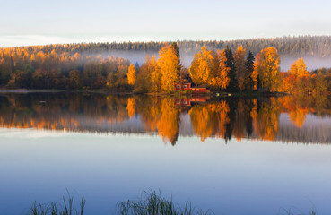 reflection of autumn trees in lake
