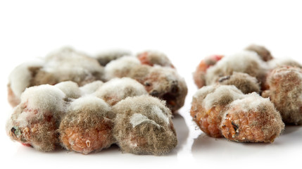 raspberries with mold