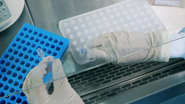 Lab worker is filling test tubes with chemicals