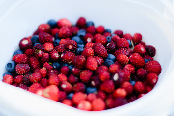  bowl with wild berries. Strawberries and blueberries in a plate
