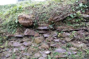 Trail on the Annapurna Base Camp Trek in tropical Rain forest Nepal.