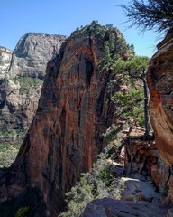 Angel's Landing - Zion National Park 