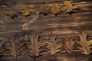 Composition with autumn leaves and space for text on wooden background,
