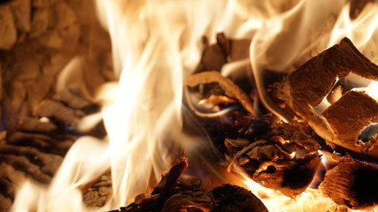 Background, background, texture stones, tree, fir, old masonry, beautiful masonry, fire, landscape, chrome key.