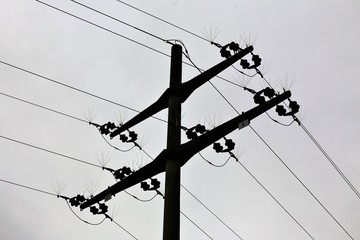 electric pole and wires