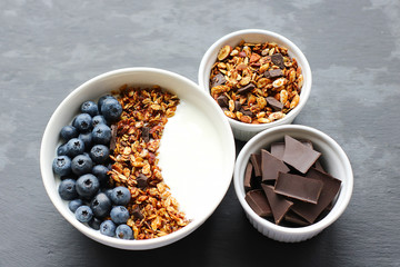 Bowl of homemade granola with yogurt and fresh berries