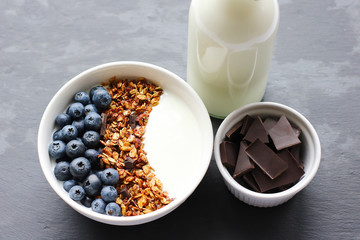 Bowl of homemade granola with yogurt and fresh berries