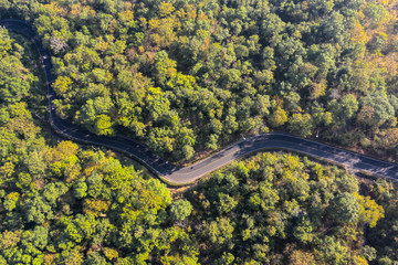 Aerial top view of beautiful road through the green forest, road going through forest from above.