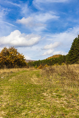autumn trail in the mountains