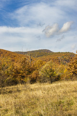 Fototapeta premium autumn in the mountains