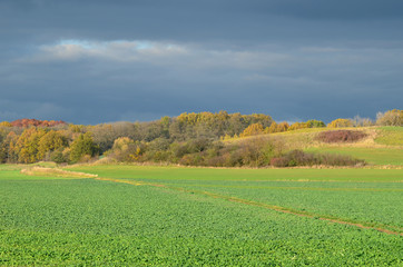 Autumn landscape on the countryside in Poland. 